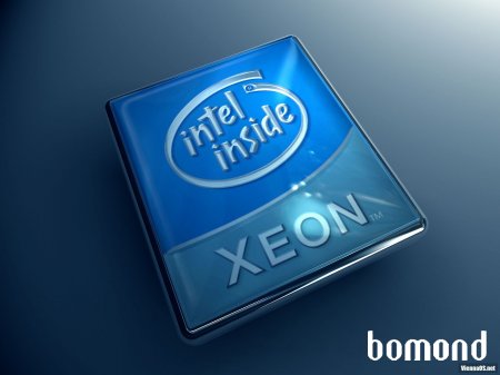 processor